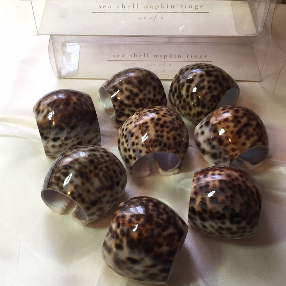 Bundle of 8 seashell napkin holders